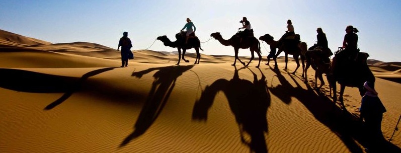 Camel Desert Safari Tour, Camel Ride In Dubai, Camel ...